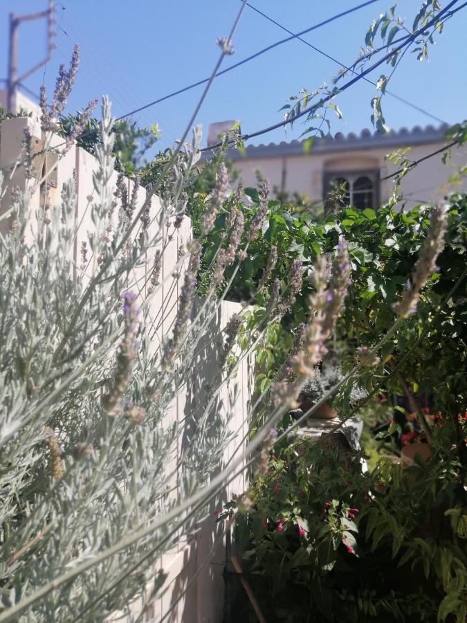 "Eirini" Traditional House Creta Archanes, Αρχάνες Σπίτι Exterior foto